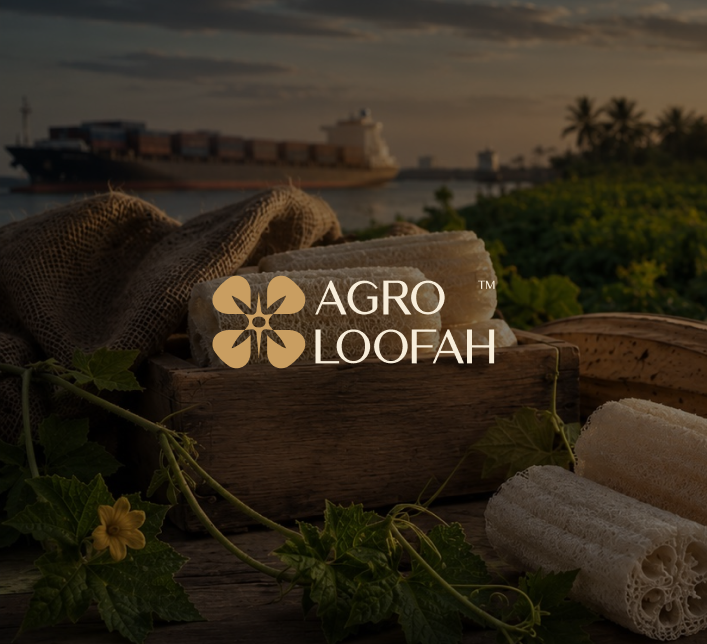 Egyptian Loofah vs. Other Origins – Strength, Density & Size