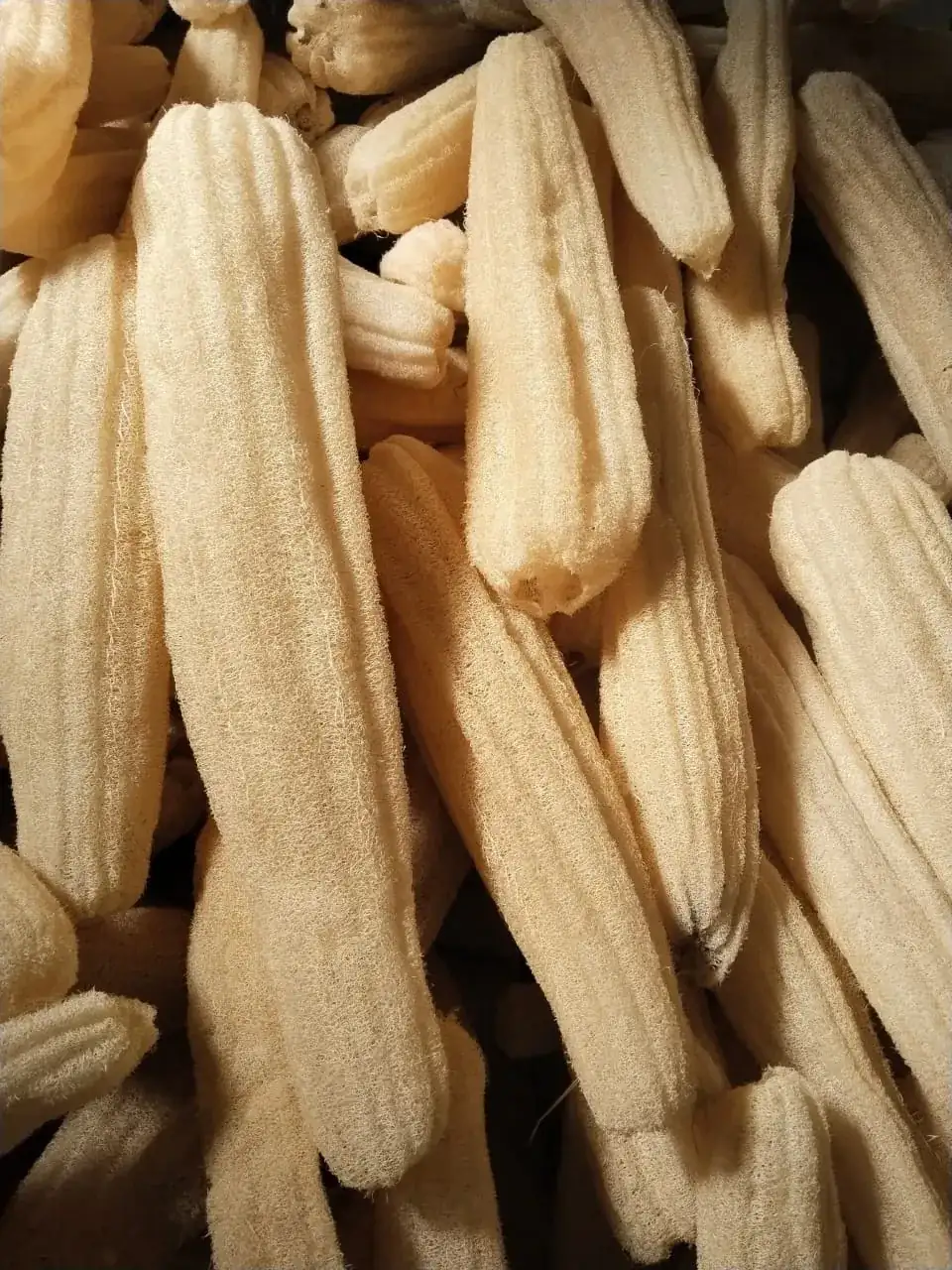 Raw Loofah (Raw Material Bales) thumbnail 5