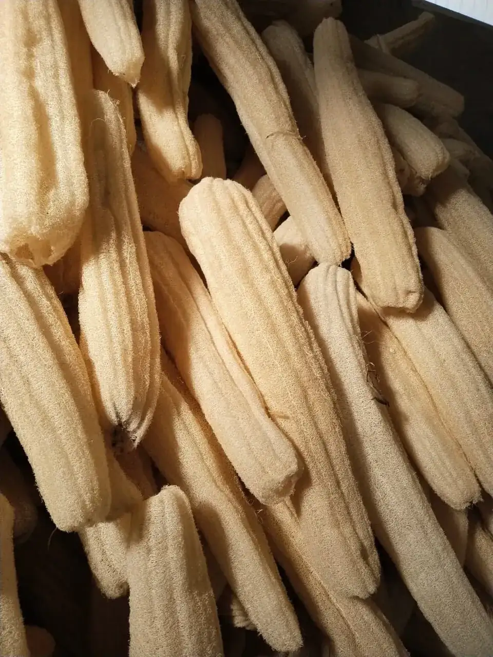 Raw Loofah (Raw Material Bales) thumbnail 4